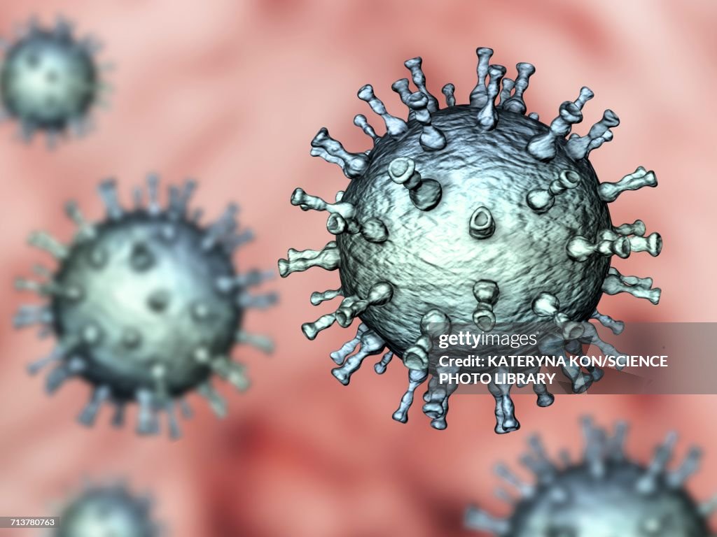 Chickenpox virus particles, illustration