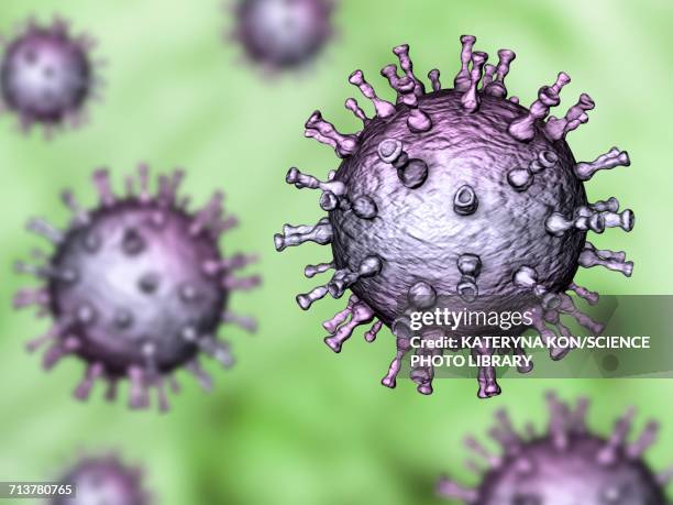 chickenpox virus, illustration - varicella zoster virus stock illustrations