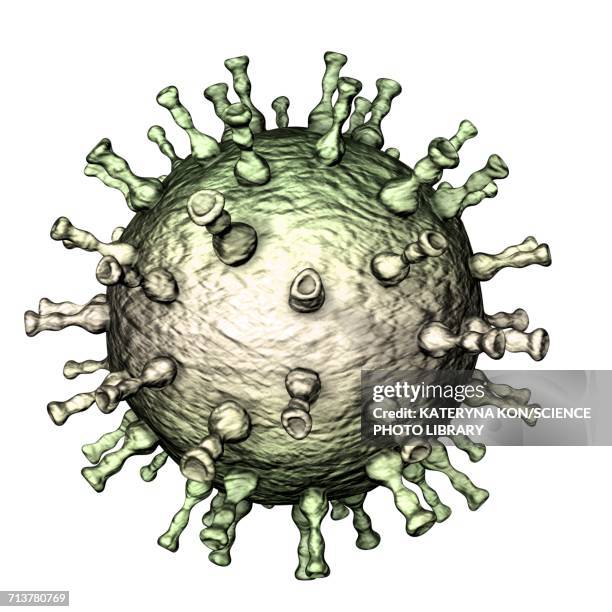 chickenpox virus structure, illustration - varicella zoster virus stock illustrations