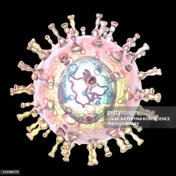 chickenpox virus, illustration - varicella zoster virus stock illustrations