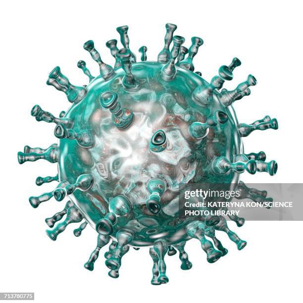 chickenpox virus, illustration - varicella zoster virus stock illustrations