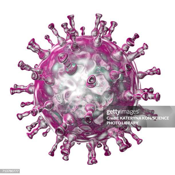 chickenpox virus, illustration - varicella zoster virus stock illustrations