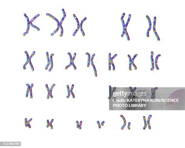 philadelphia chromosome, illustration - leukemia stock illustrations