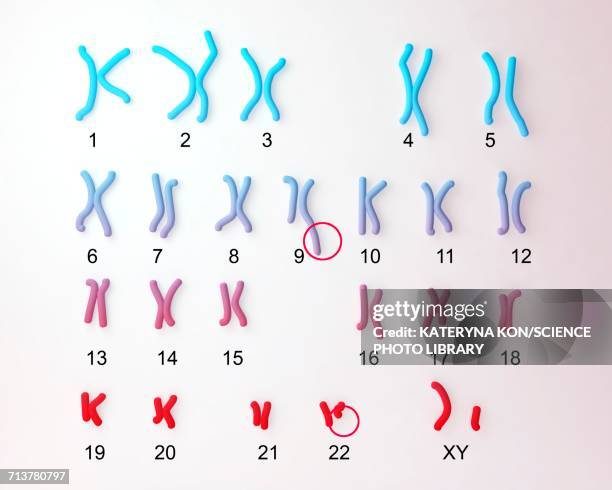 philadelphia chromosome, illustration - chromosome stock illustrations