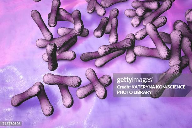 ilustraciones, imágenes clip art, dibujos animados e iconos de stock de corynebacterium diphtheriae bacteria, illustration - corynebacterium diphtheriae