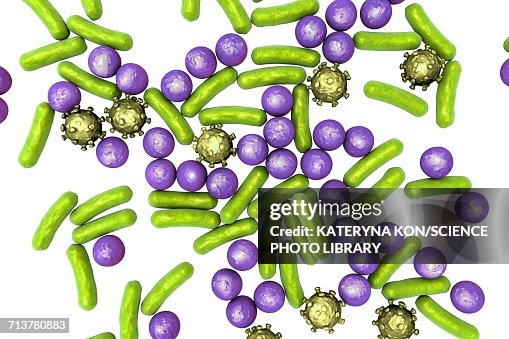 Various microbes, illustration Various microbes, illustration