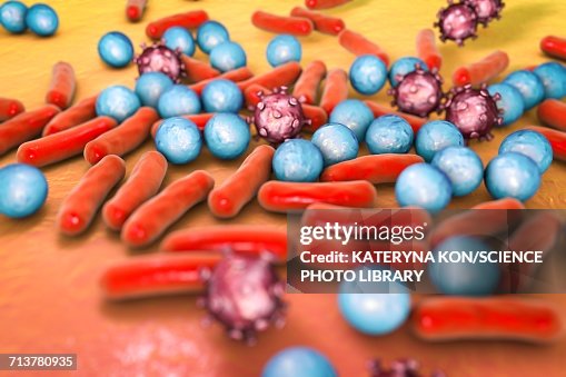 Various microbes, illustration Various microbes, illustration