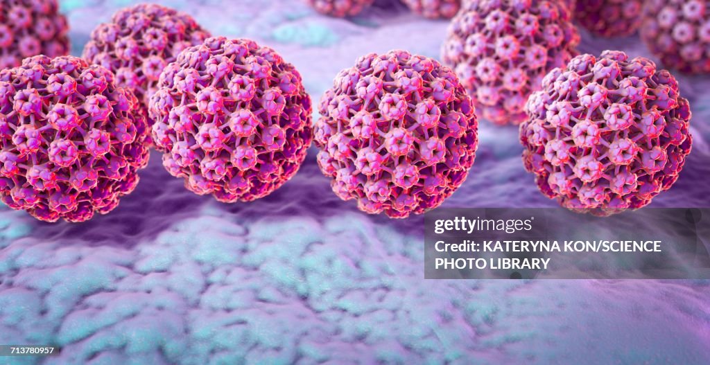 Human papilloma virus, illustration