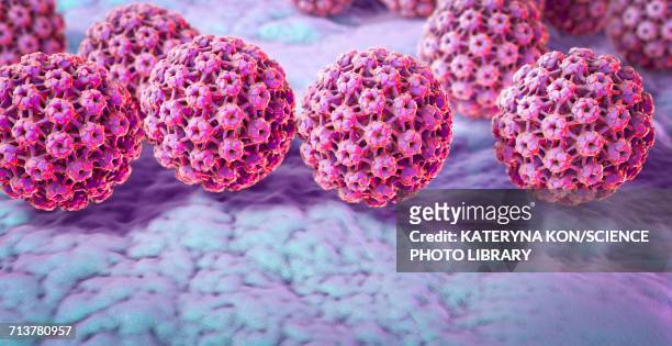 human papilloma virus, illustration - protein coat stock illustrations