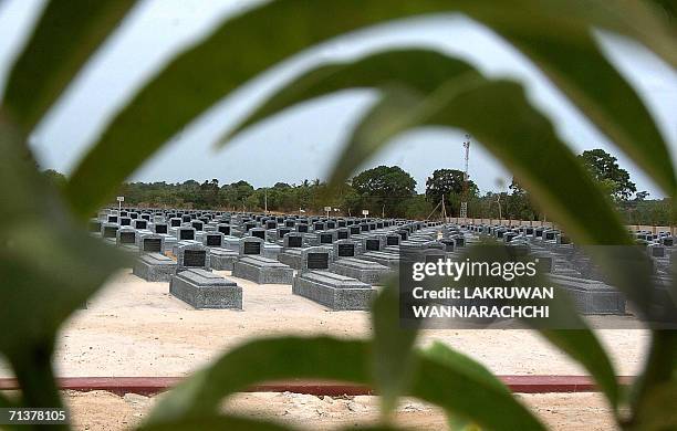 In this photograph dated 01 July 2006, Tamil Tiger graves are pictured at a "martyrs'" cemetery outside the rebel-held town of Kilinochchi in...