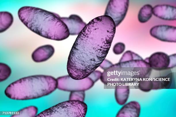 plague bacteria yersinia pestis, illustration - bacterium stock illustrations