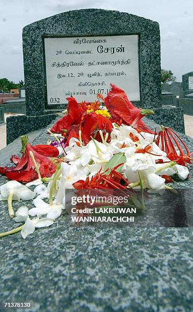 In this photograph dated 01 July 2006, flowers cover the gravestone of a Tamil Tiger fighter killed in Sri Lanka's separatist conflict at a...