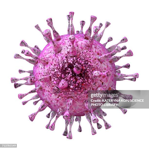 ilustrações de stock, clip art, desenhos animados e ícones de human cytomegalovirus, illustration - vírus herpes simplex