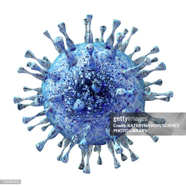 human cytomegalovirus, illustration - viren stock-grafiken, -clipart, -cartoons und -symbole