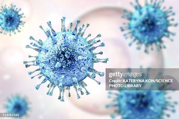 ilustrações de stock, clip art, desenhos animados e ícones de human cytomegalovirus, illustration - vírus herpes simplex