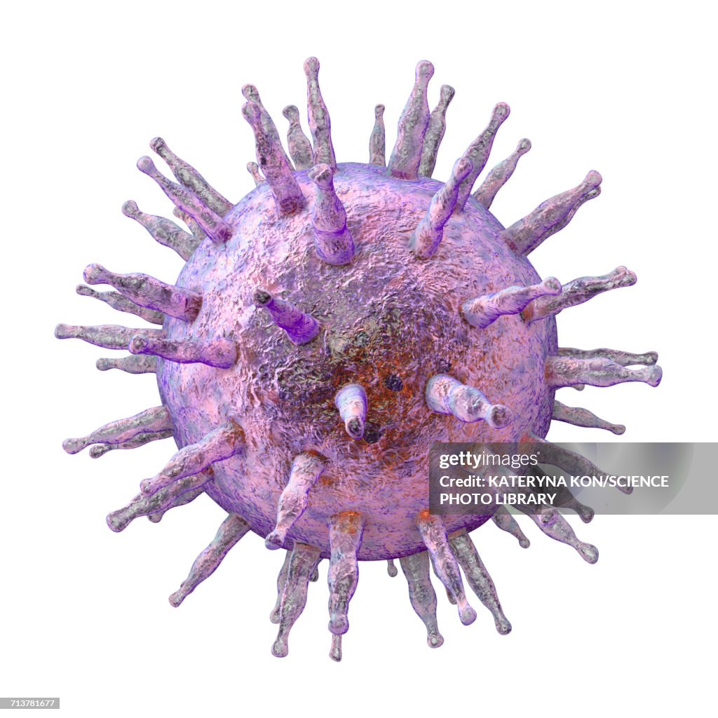 Epstein-Barr virus, illustration