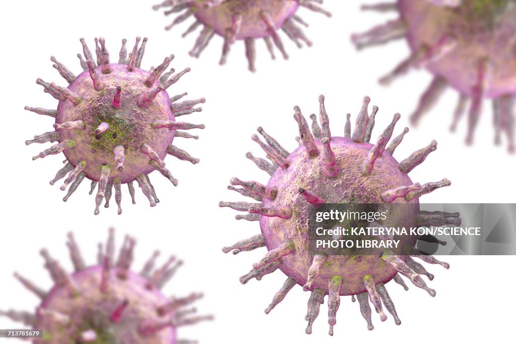 Epstein-Barr virus, illustration