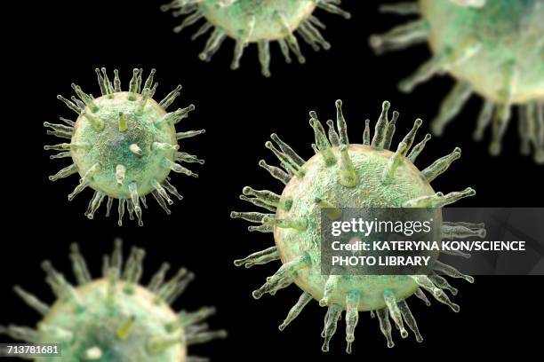 illustrazioni stock, clip art, cartoni animati e icone di tendenza di epstein-barr virus, illustration - virus di epstein barr