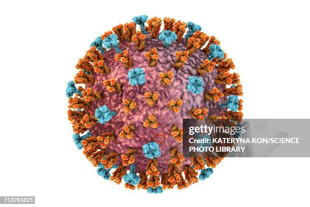 flu virus, illustration - pathogen stock-grafiken, -clipart, -cartoons und -symbole