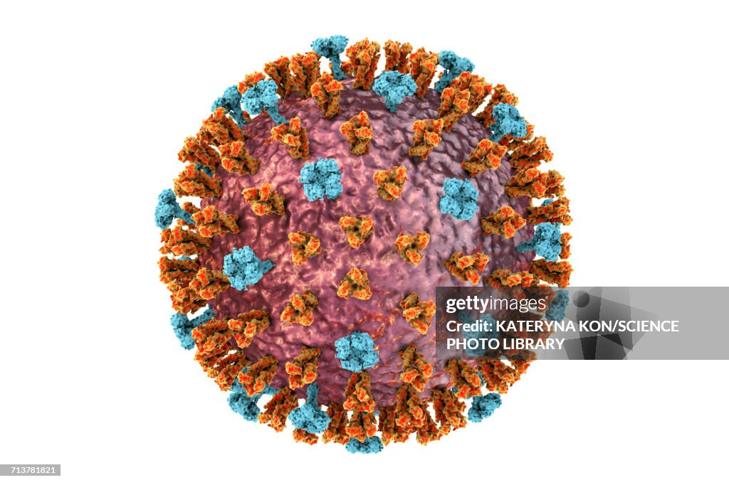 Flu virus, illustration