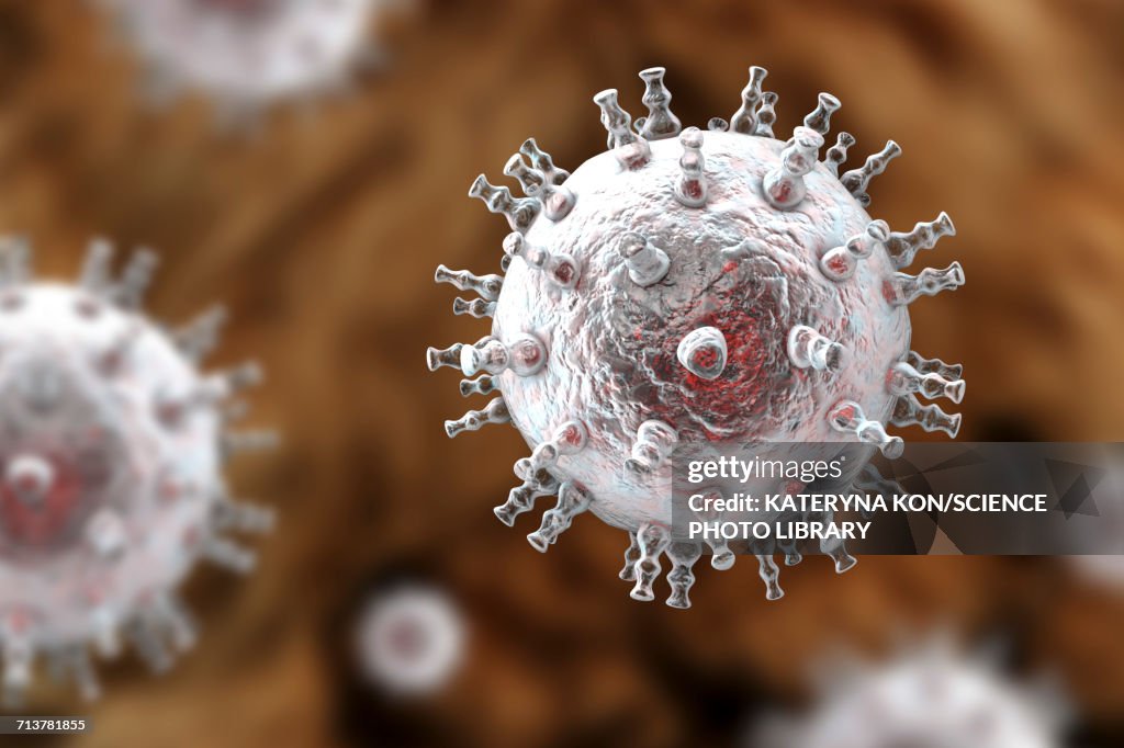 Kaposis sarcoma virus, illustration