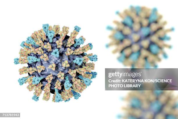 measles virus, illustration - paramyxoviridae stock illustrations