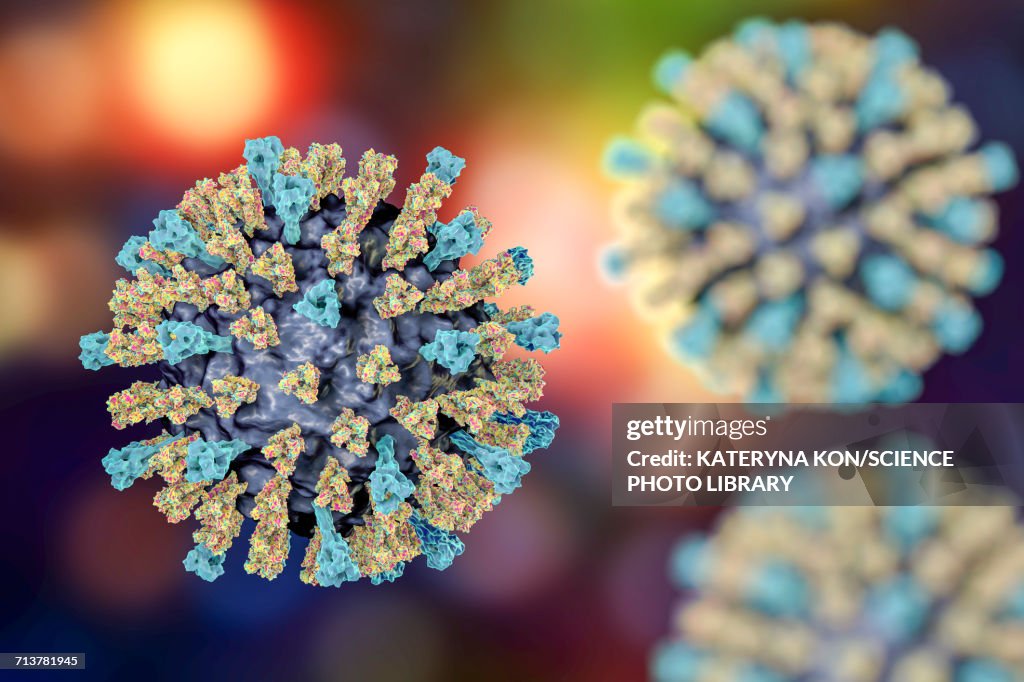 Measles virus, illustration