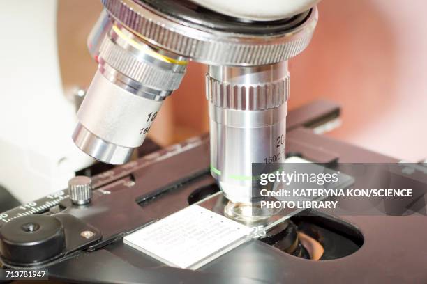 31 Objective (Optics) Stock Photos, High-Res Pictures, and Images ...