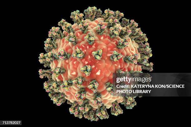 human parainfluenza virus, illustration - spike protein stock-grafiken, -clipart, -cartoons und -symbole