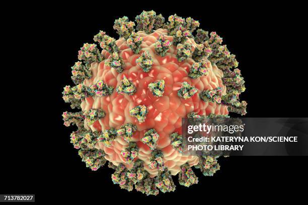 human parainfluenza virus, illustration - protein coat stock illustrations