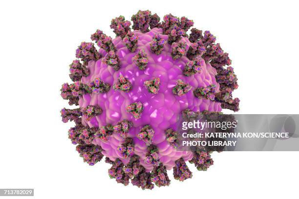 ilustraciones, imágenes clip art, dibujos animados e iconos de stock de human parainfluenza virus, illustration - microscopio