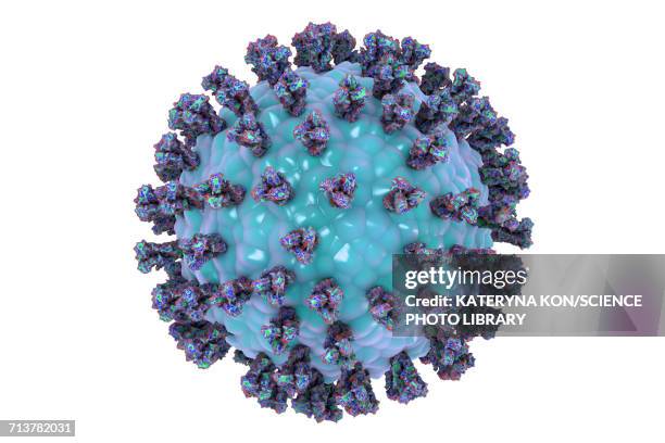 human parainfluenza virus, illustration - protein coat stock illustrations