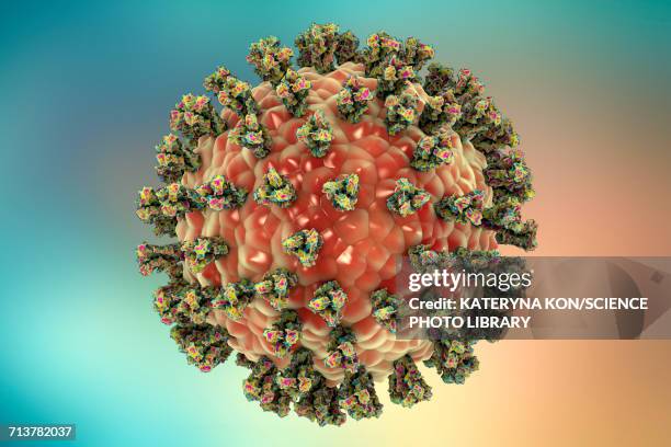 human parainfluenza virus, illustration - spike protein stock-grafiken, -clipart, -cartoons und -symbole