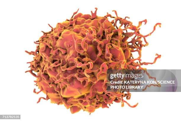 colon cancer cell, illustration - cancer cell white background stock illustrations