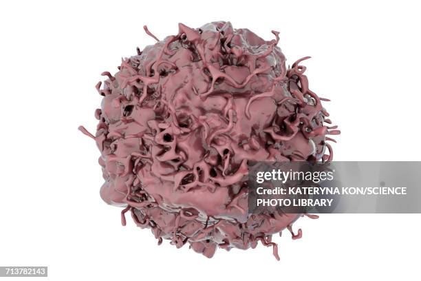 lung cancer cell, illustration - metastatic tumour stock-grafiken, -clipart, -cartoons und -symbole