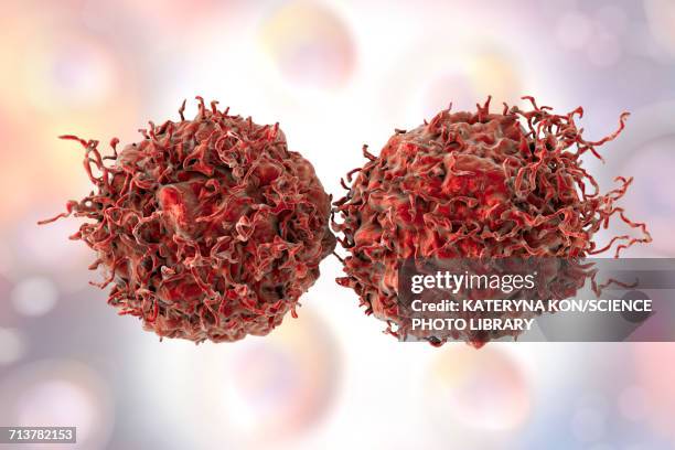 prostate cancer cells, illustration - metastasis stock illustrations