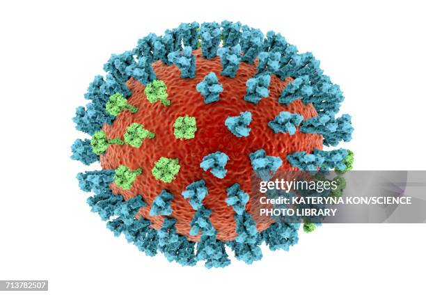 bird flu virus, illustration - avian flu virus stock illustrations