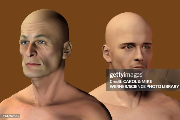 aging, illustration - 3d face stock illustrations