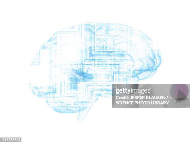 human brain with circuit boards - artificial intelligence white background stock-grafiken, -clipart, -cartoons und -symbole