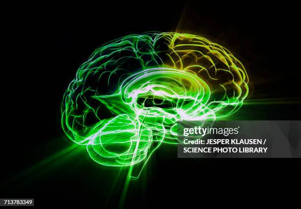Green Python Brain 3,937 Green Brain Stock Photos, High-Res Pictures, and Images - Getty ...