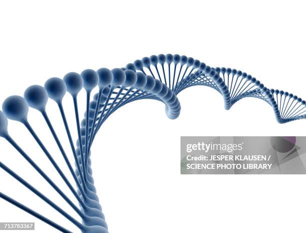 dna strand - dna strand stock-grafiken, -clipart, -cartoons und -symbole