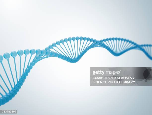 ilustrações, clipart, desenhos animados e ícones de dna strand - genetic research