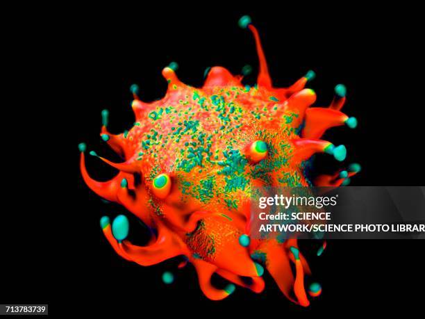 lymphoma cancer cell - lymphoma stock illustrations