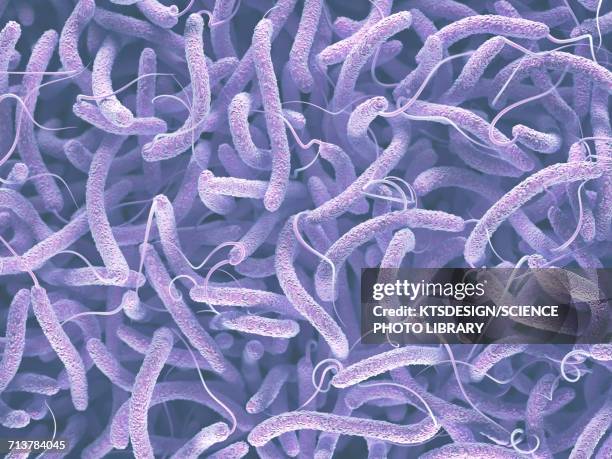 vibrio cholerae and flagella - コレラ菌点のイラスト素材／クリップアート素材／マンガ素材／アイコン素材