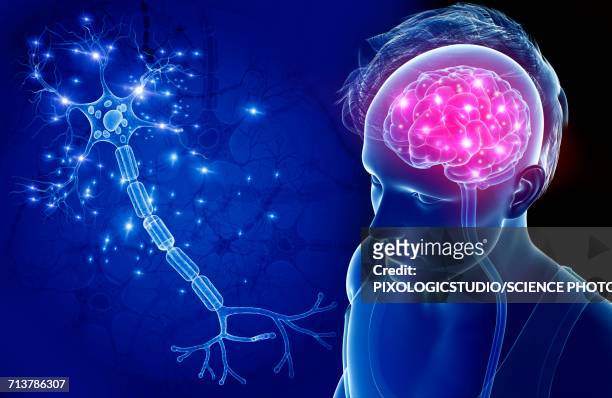 brain and nerve cell, illustration - human brain waves stock illustrations
