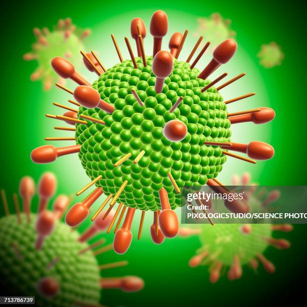 Paramyxovirus Virus Particle Illustration High-Res Vector Graphic
