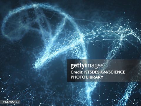 DNA molecule, illustration DNA molecule, illustration