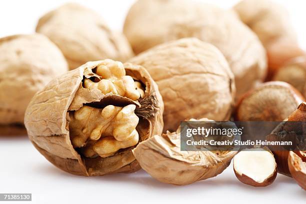 walnuts and hazelnuts, close-up - nussschale stock-fotos und bilder