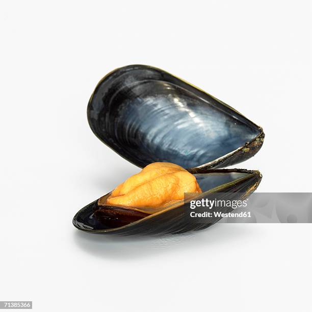 mussel opend, close-up - mussels stock pictures, royalty-free photos & images