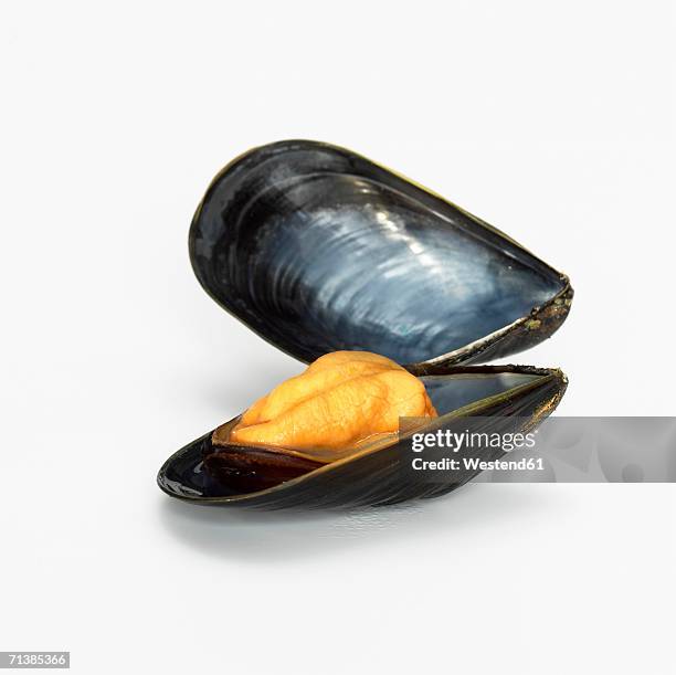 mussel opend, close-up - bivalve imagens e fotografias de stock